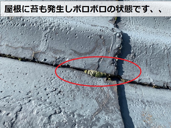 屋根に苔が発生している様子