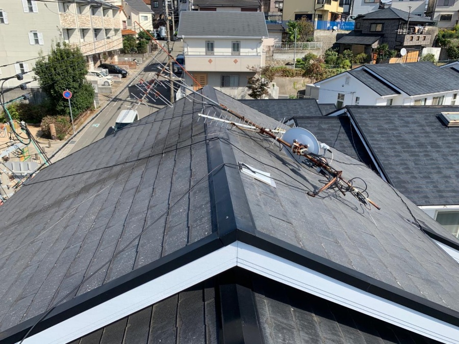 屋根の全体の様子