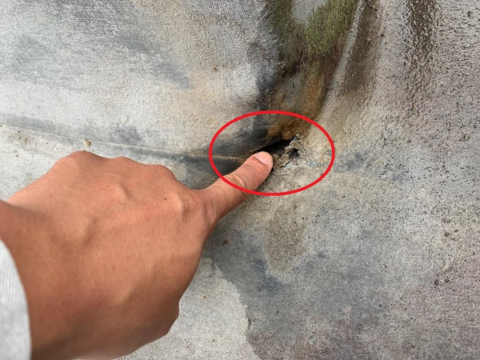 屋上のシート防水が破れている様子