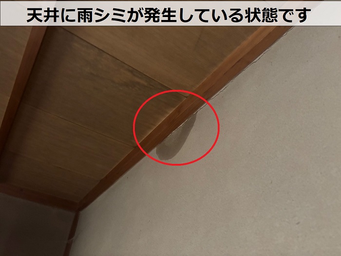 天井に雨シミが発生している様子