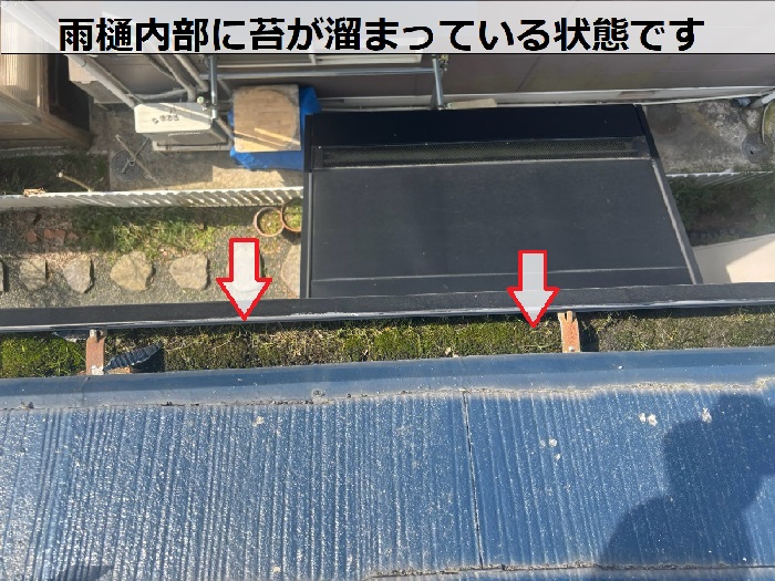 雨樋に苔が溜まっている様子
