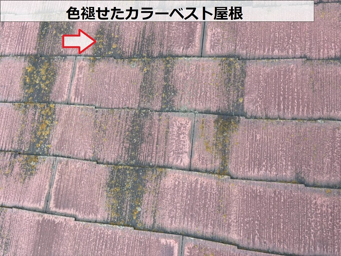 色褪せたカラーベスト