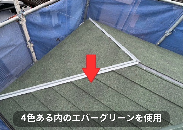 市川町　ディプロマットスターのエバーグリーン