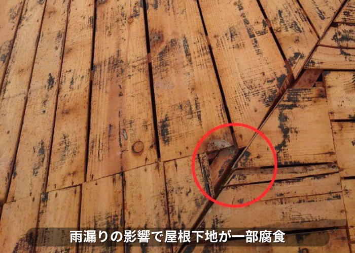 朝来市 雨漏りの影響で瓦屋根の屋根下地が一部腐食している様子