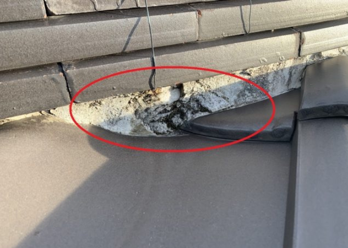 丹波篠山市　漆喰のカビ