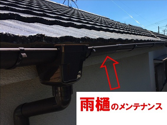 雨樋メンテナンス