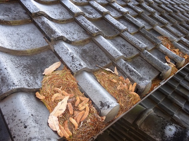 屋根落ち葉