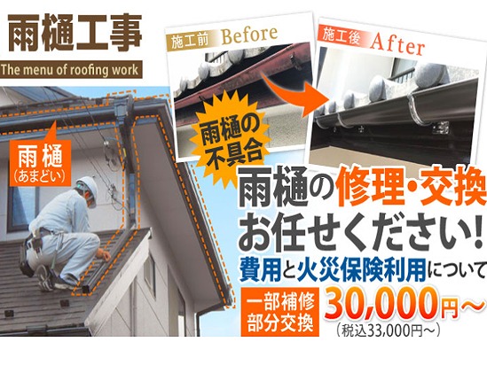 雨樋修理