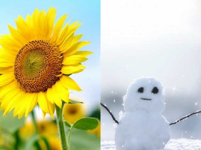 夏と冬
