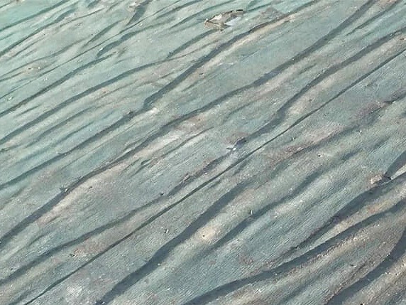 ルーフィング劣化