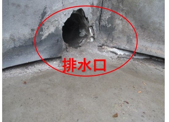 西宮市陸屋根排水口
