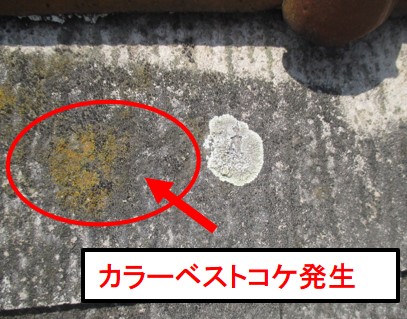 西宮市カラーベストこけ