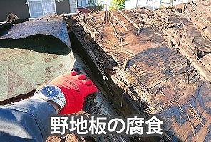 野地板腐食