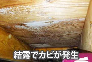 小屋裏結露カビ