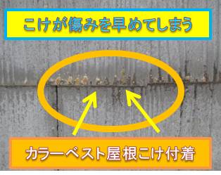 西宮市カラーベスト屋根こけ