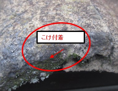 西宮市モニエル瓦こけ発生