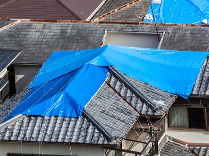 屋根ブルシート