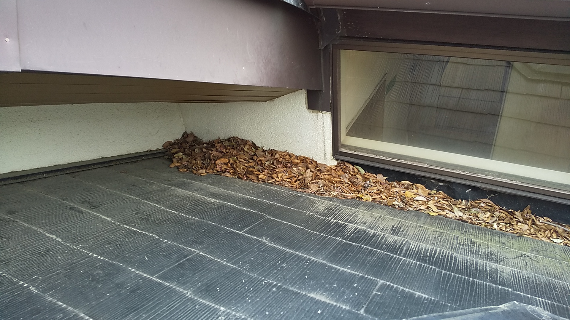 西宮市雨漏り調査