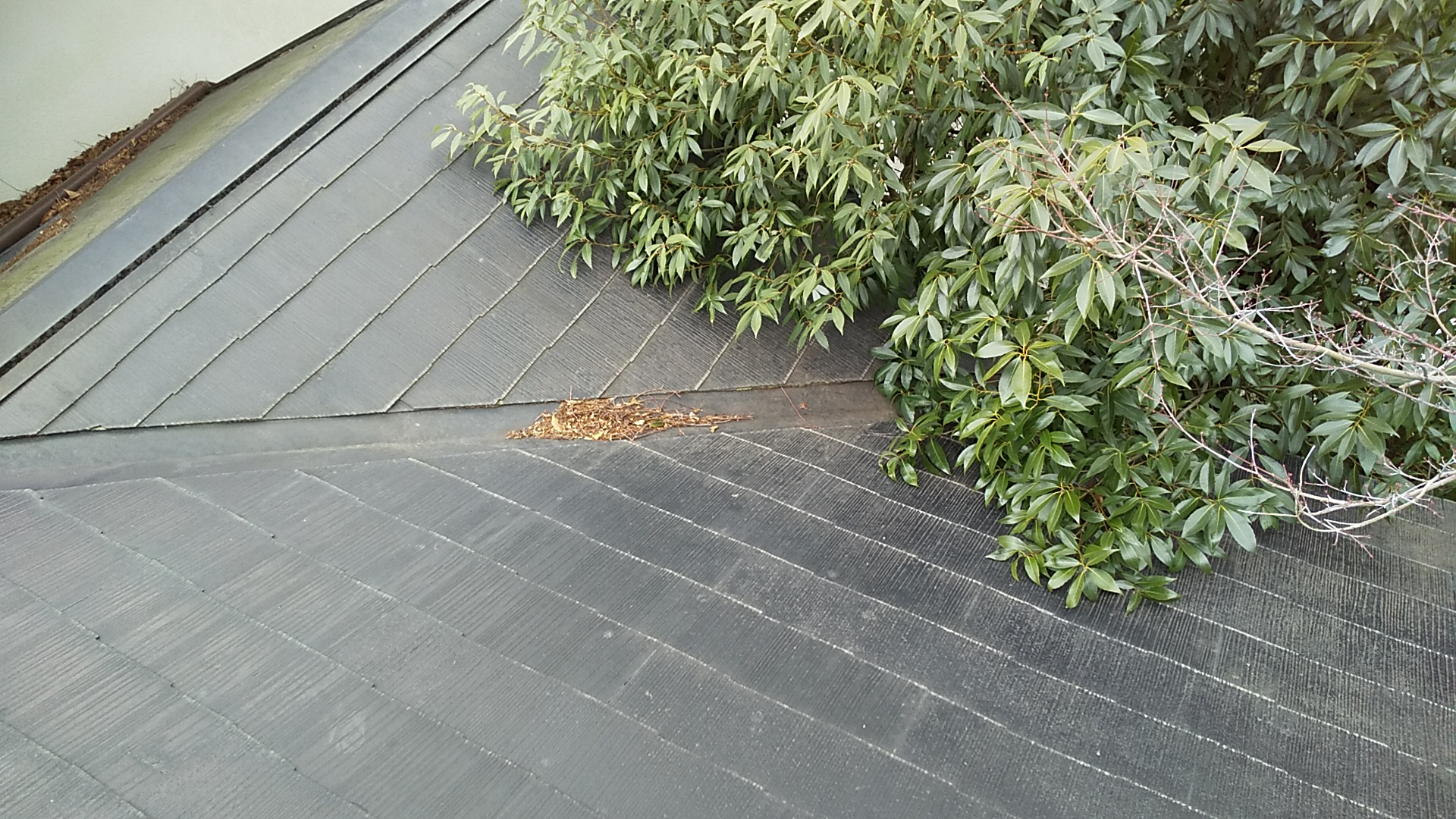 西宮市雨漏り発生