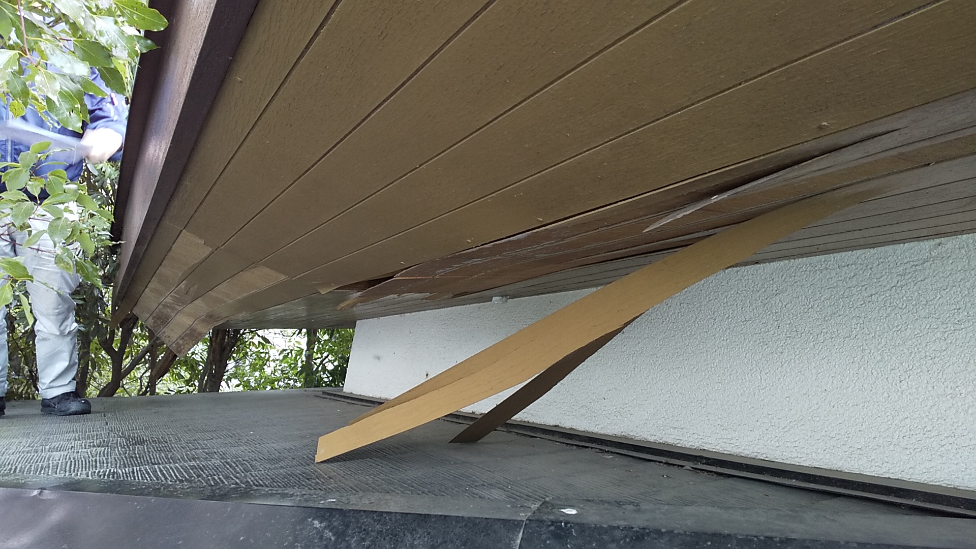 西宮市雨漏り発生