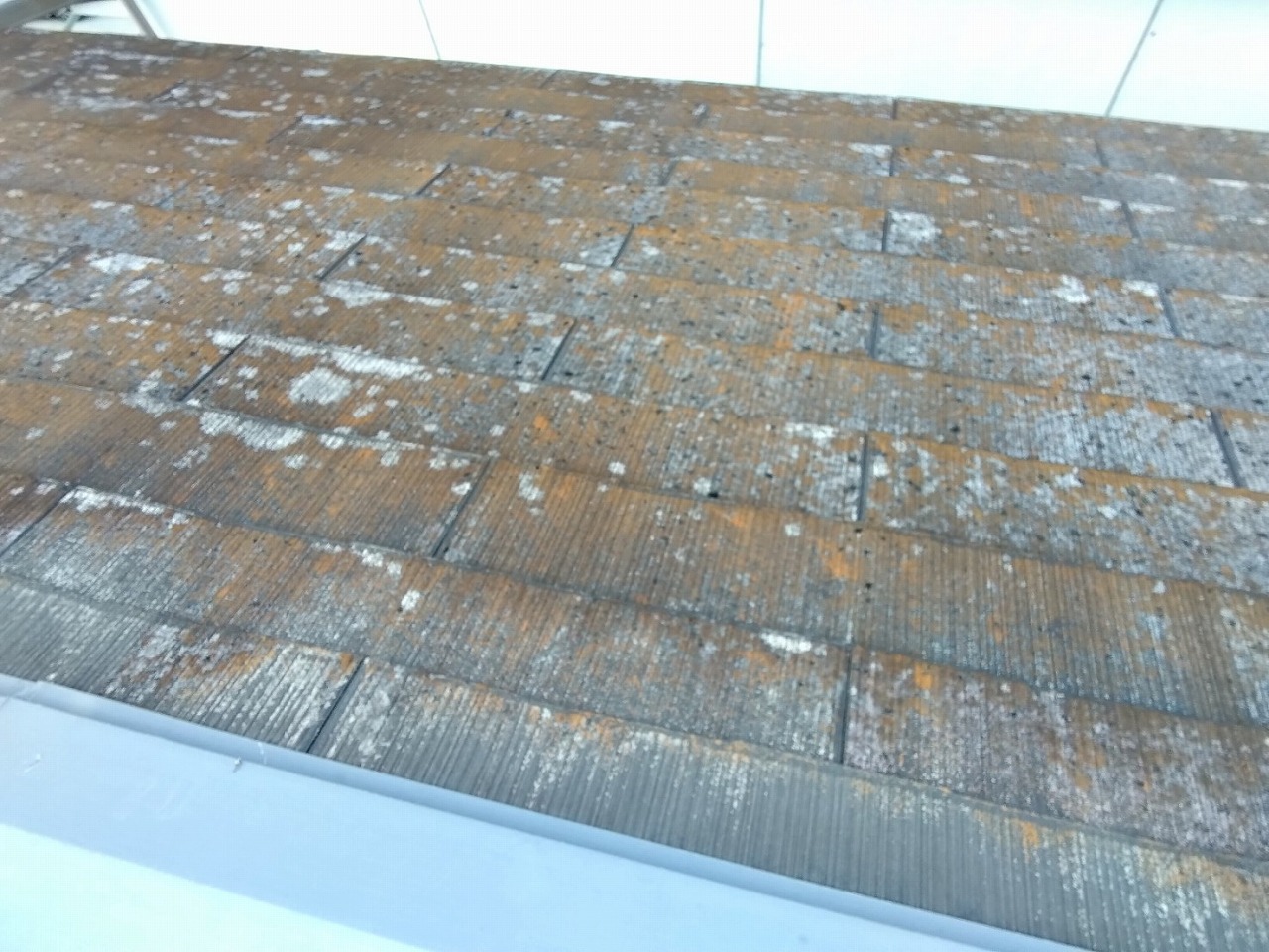 神戸市垂水区屋根点検