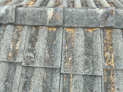 モニエル瓦(セメント瓦)