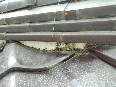 漆喰(しっくい)、谷板金