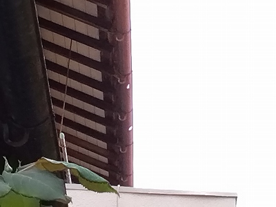 加古川市　軒樋穴あき