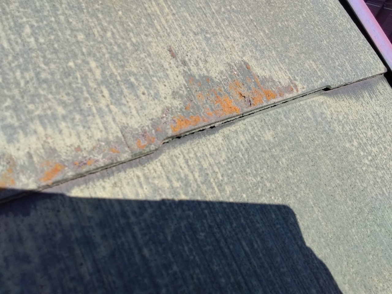 カラーベスト　苔