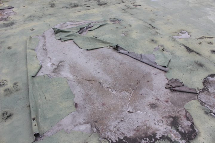 屋上防水＆雨樋修理５