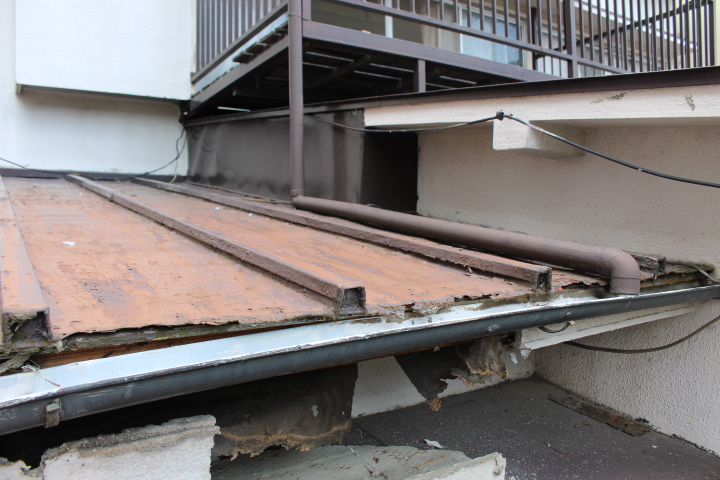 屋根軒天修理下見３