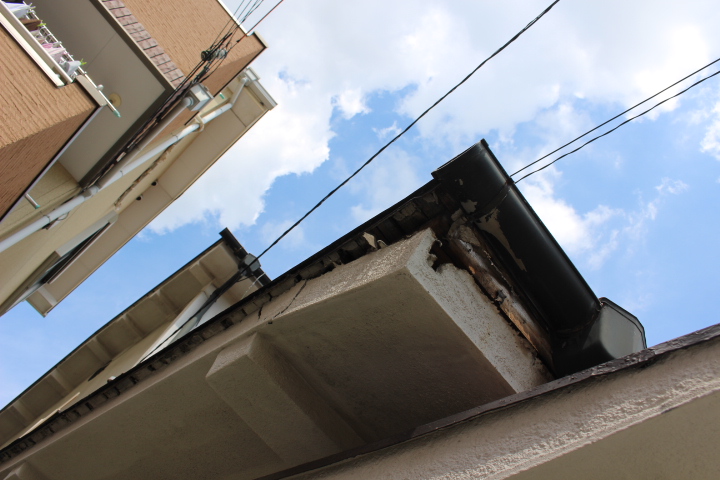 屋根軒天修理下見２