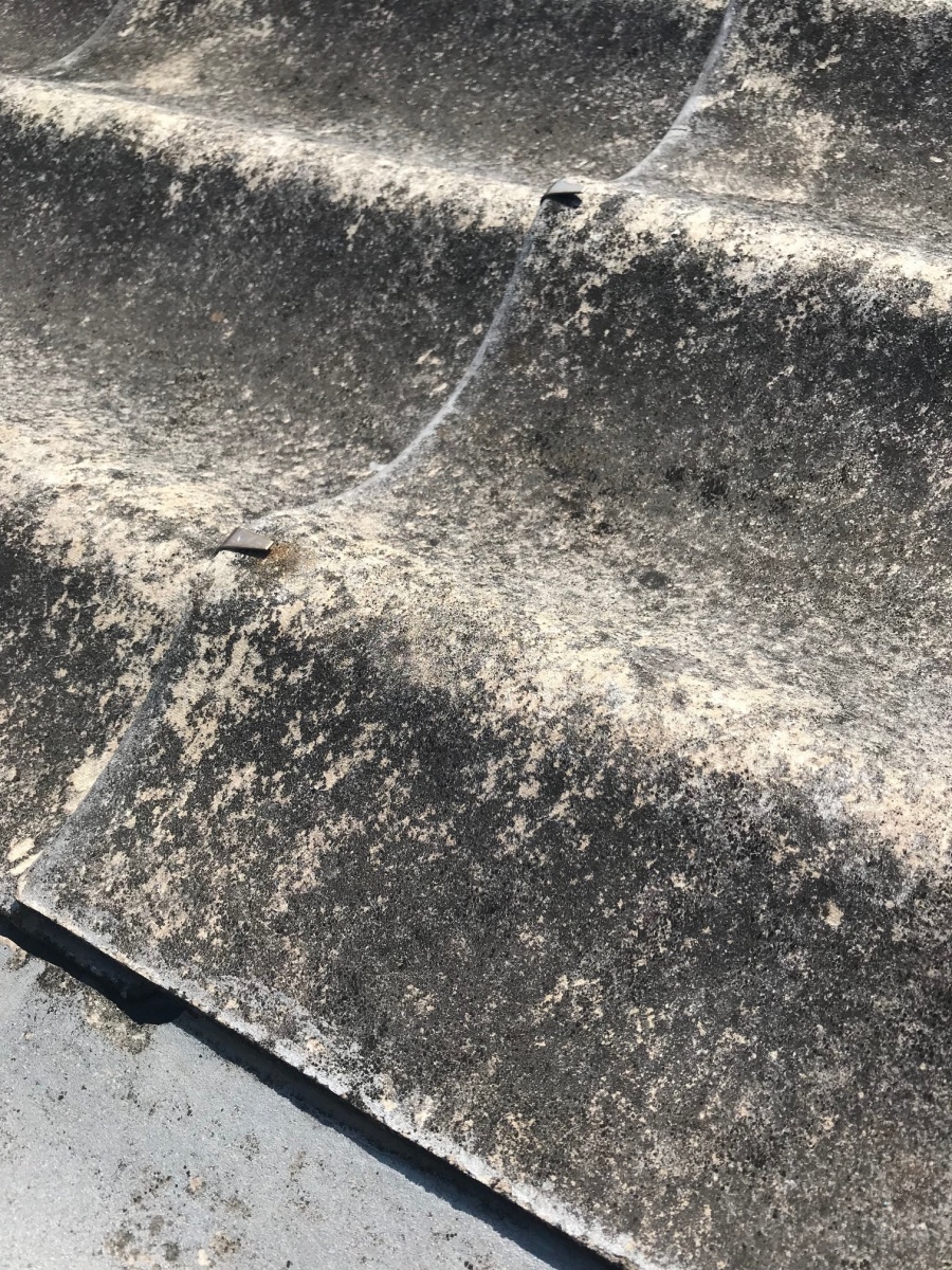尼崎市倉庫屋根現場調査６