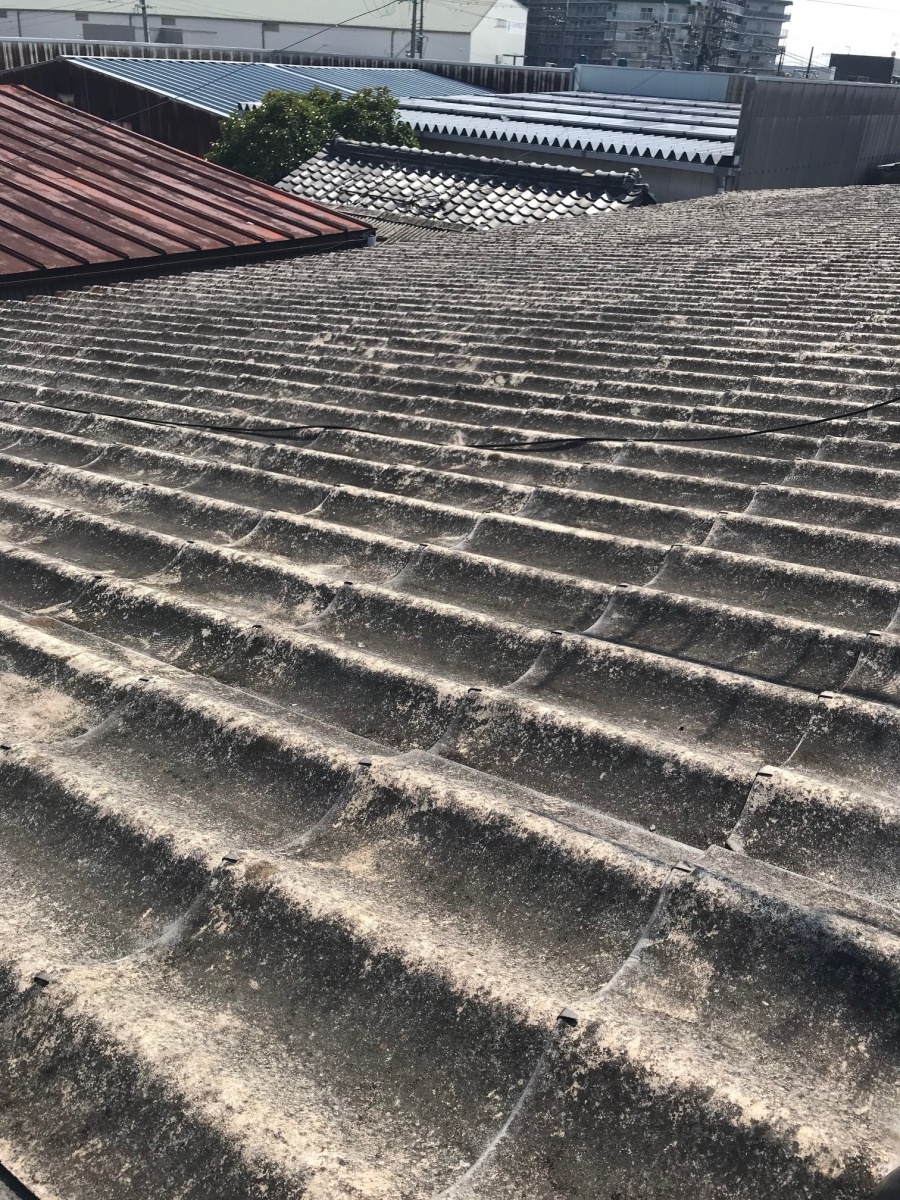 尼崎市倉庫屋根現場調査７
