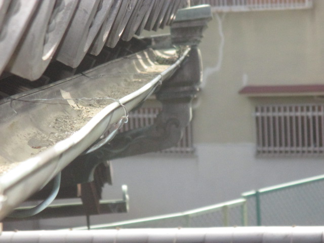 落ち葉ヨケネット