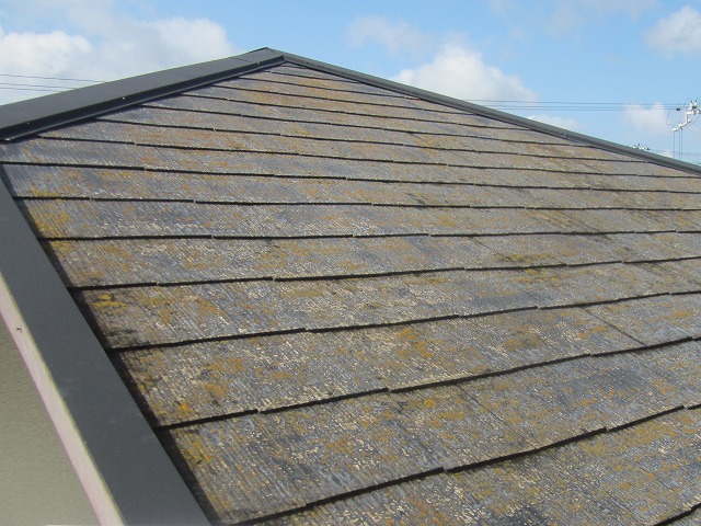 スレート屋根