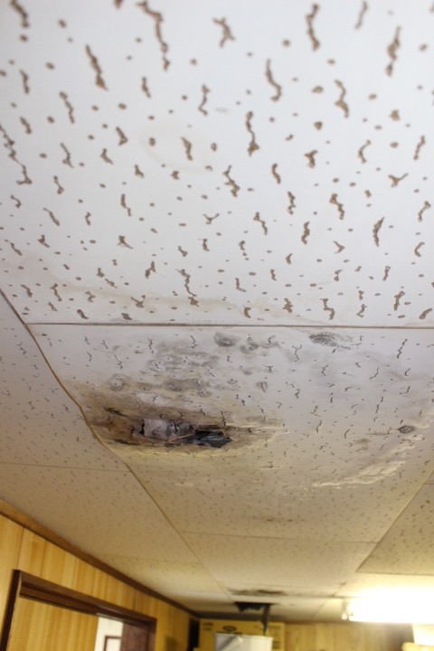 芦屋市雨漏り調査２