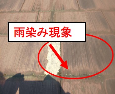 西宮市カラーベスト