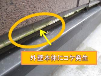 西宮市外壁サイディング壁こけ