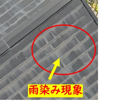 カラーベスト屋根点検