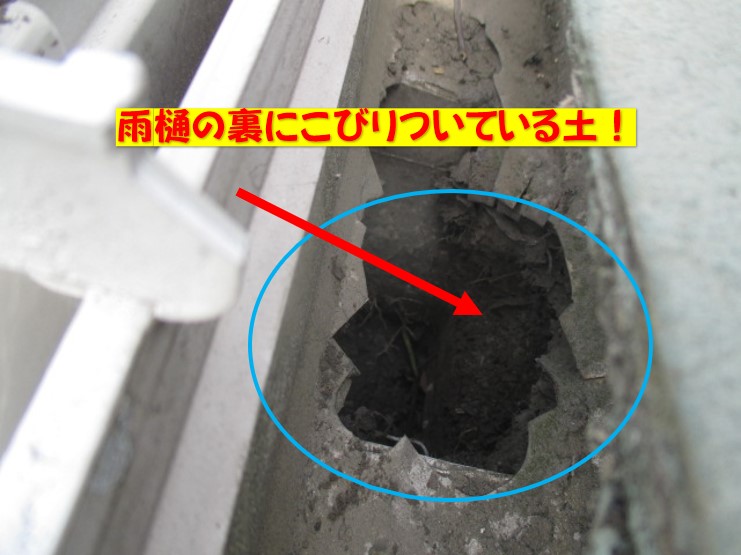 西宮市軒樋解消