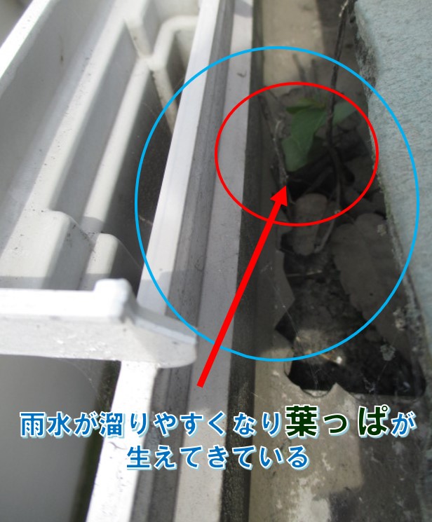 西宮市雨樋が詰まる原因