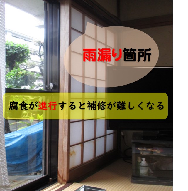 西宮市雨漏り被害調査