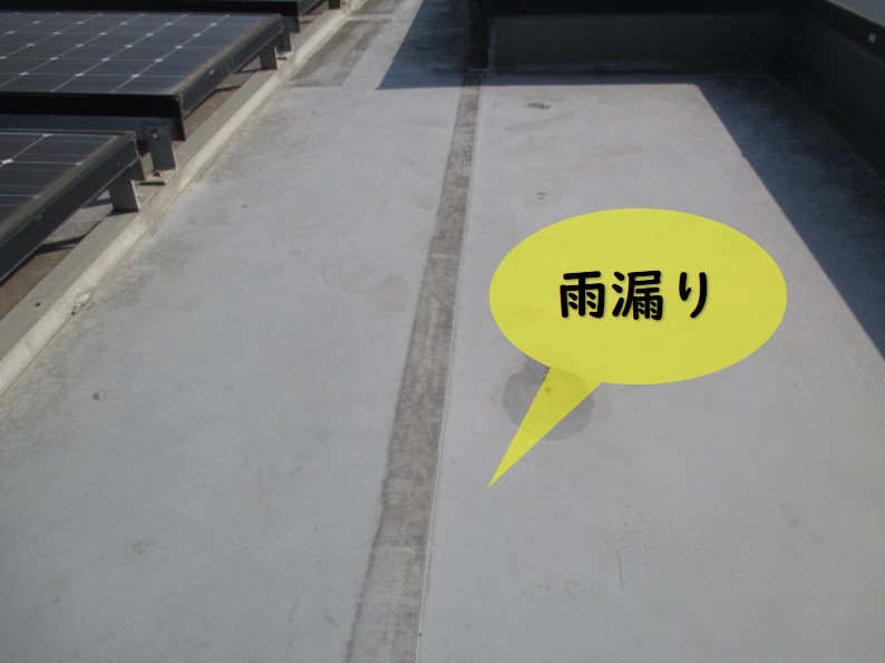 西宮市陸屋根状態