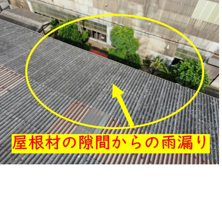 西宮市雨漏り点検