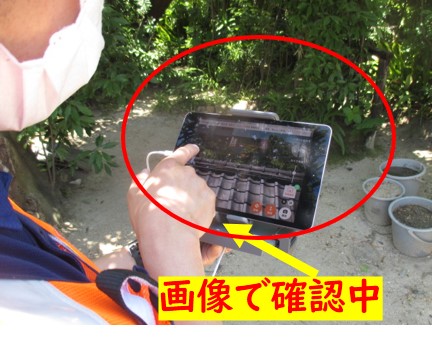 ドローン調査開始