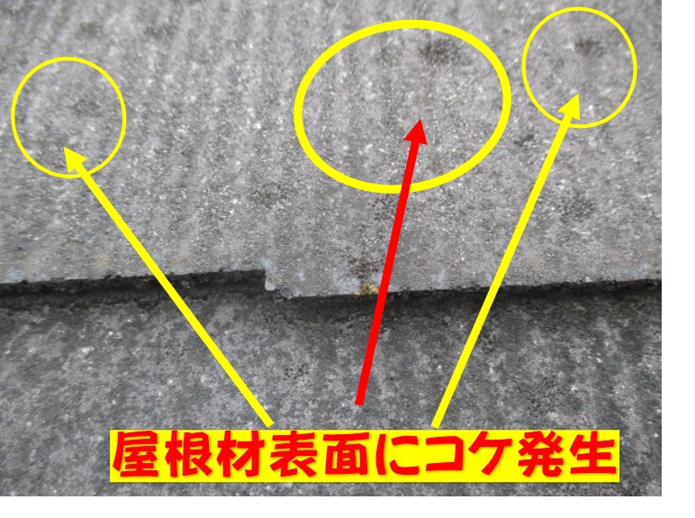 西宮市屋根材傷む