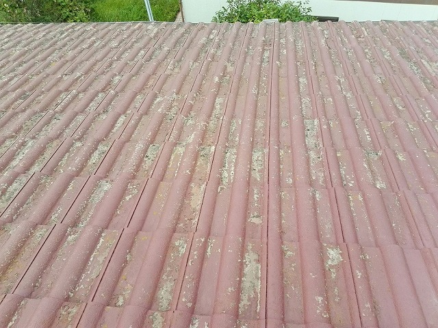 塗料塗膜が剥がれてきているセメント瓦