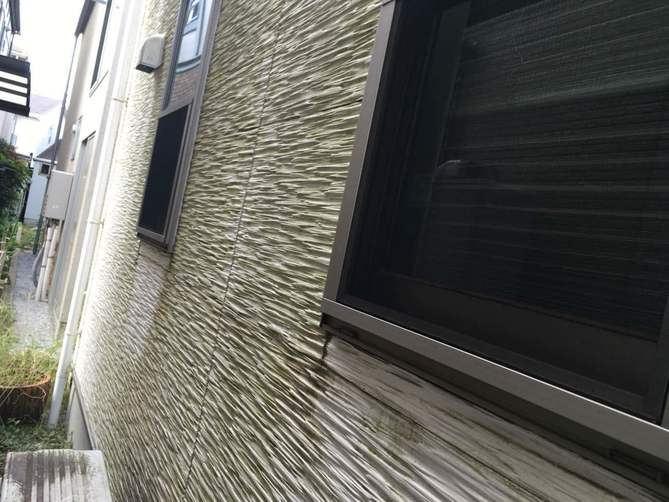 苔、藻が多く発生している外壁