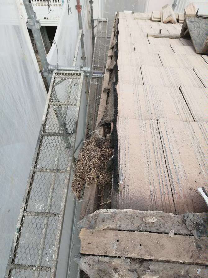 袖瓦の取り外し